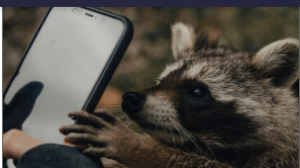 NAVOICA I&nbsp;AMUNATCOLL IT!